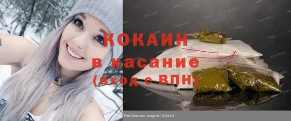 прущие грибы Переславль-Залесский