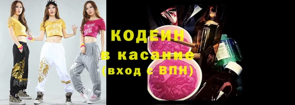 СК Пересвет