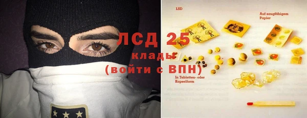 прущие грибы Переславль-Залесский