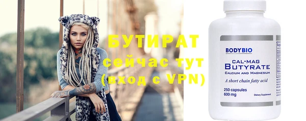 прущие грибы Переславль-Залесский