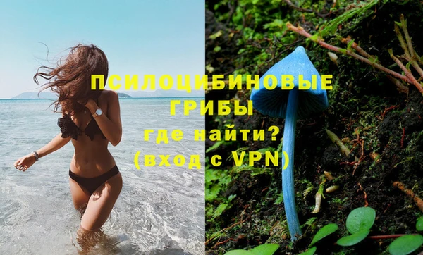 ешки Осташков