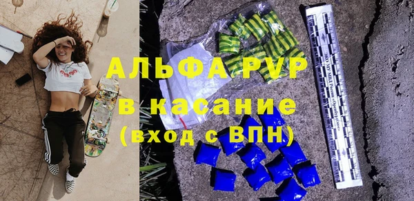 СК Пересвет