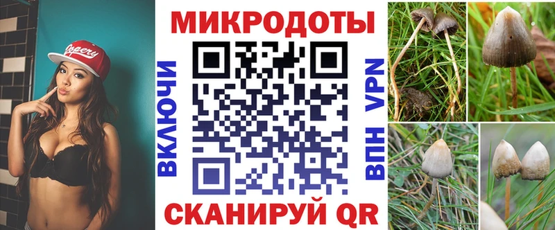 Галлюциногенные грибы прущие грибы  Болгар 